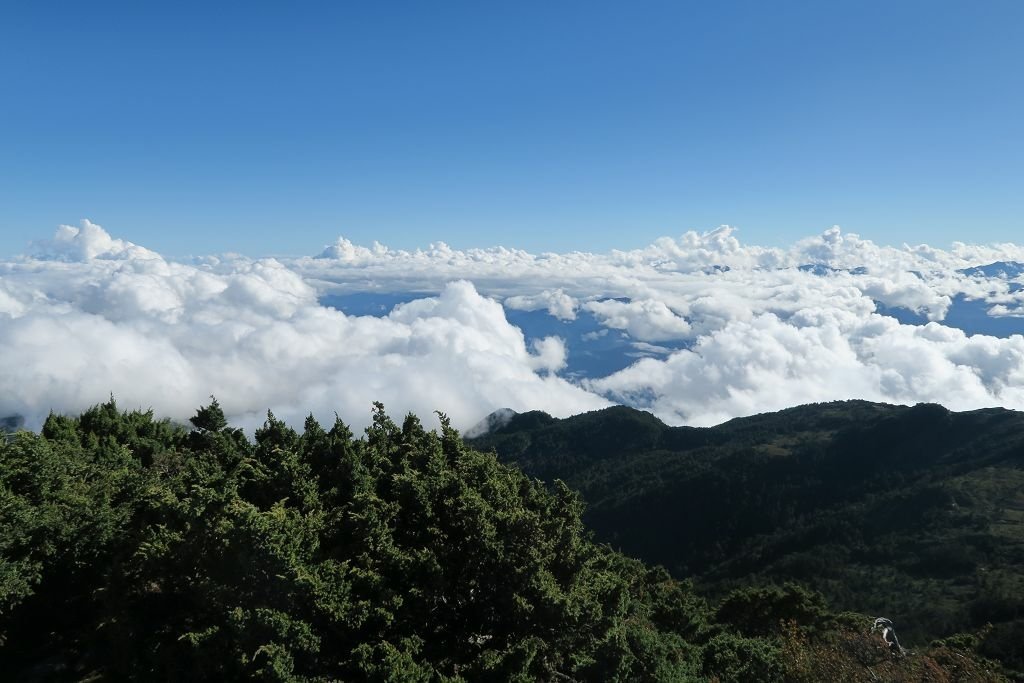 高雄台東--百岳八秀之一向陽山