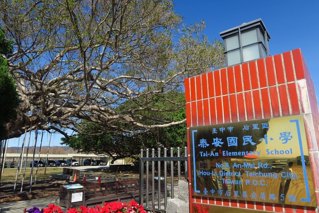 台中--后里  泰安派出所櫻花林、中科崴立櫻花公園