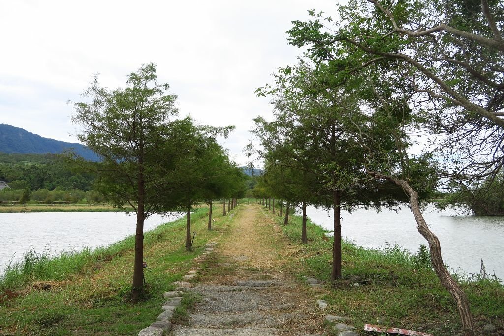 台東--池上  整理不錯的開放庭園杜園、大坡池