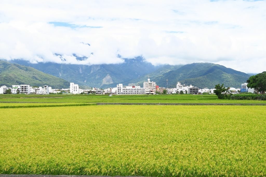 台東--池上  整理不錯的開放庭園杜園、大坡池