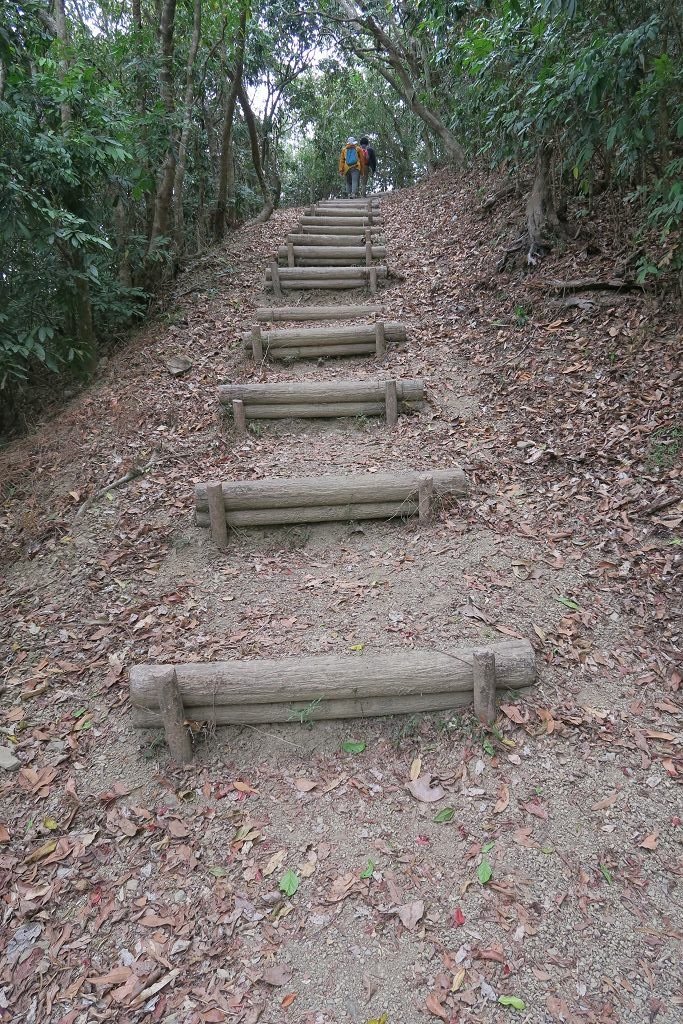 高雄台南--甲仙南化  可以俯瞰南化水庫的六義山