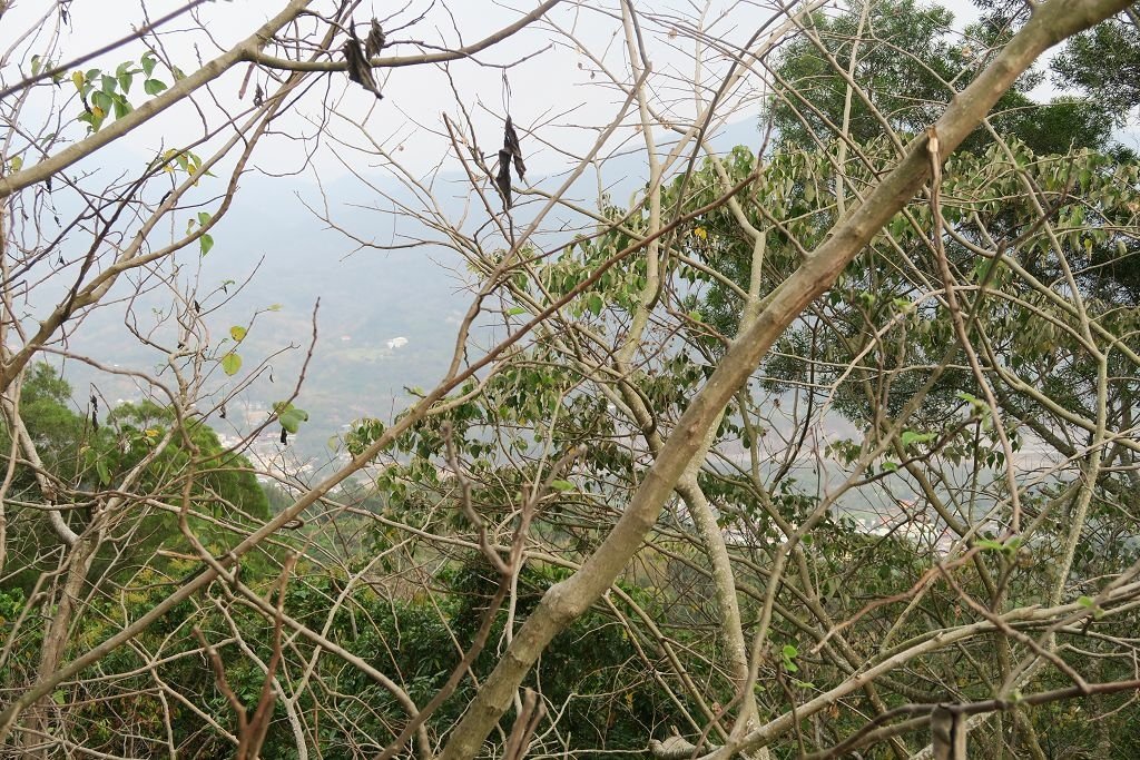 高雄台南--甲仙南化  可以俯瞰南化水庫的六義山