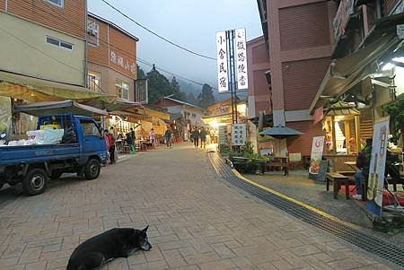 阿里山兩日遊(達那伊谷、眠月線)