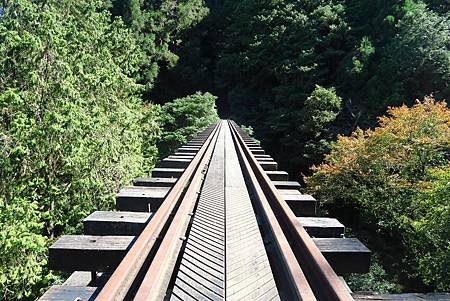 阿里山兩日遊(達那伊谷、眠月線)