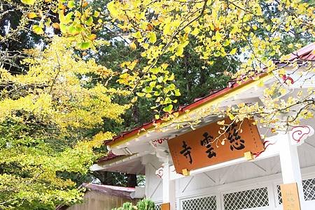 阿里山兩日遊(達那伊谷、眠月線)