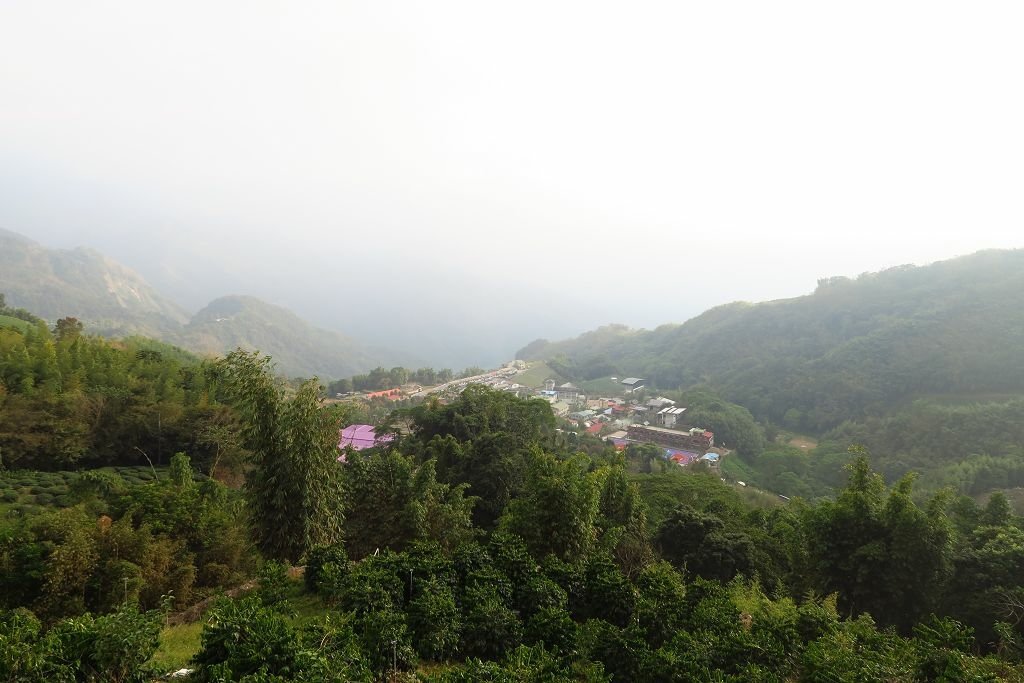 阿里山兩日遊(達那伊谷、眠月線)