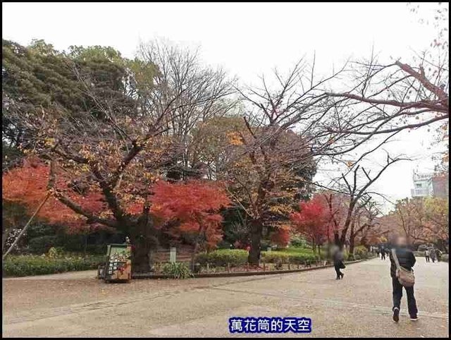 萬花筒32A東京三.jpg - 20191211日本東京上野恩賜公園うえのおんしこうえん賞楓