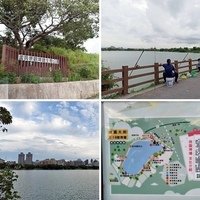 相簿封面 - 20200628桃園蘆竹蘆興景觀埤塘生態公園(桃園大圳1-16碑塘)