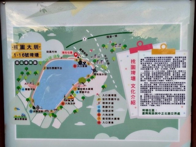 20200626桃園一日遊_200706_163.jpg - 20200628桃園蘆竹蘆興景觀埤塘生態公園(桃園大圳1-16碑塘)