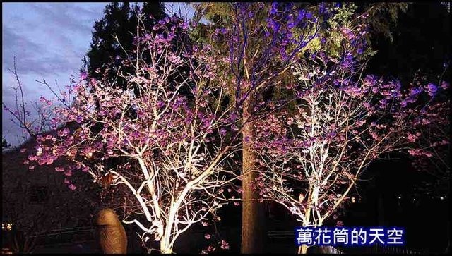 萬花筒84A九族.jpg - 20200226南投九族文化村櫻花季