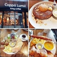 相簿封面 - 20191221台北COPPII LUMII LIVING COFFEE冉冉生活