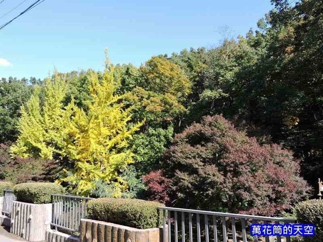 萬花筒的天空140大邱二.jpg - 2011019韓國大邱前山公園展望台