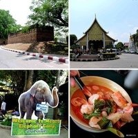相簿封面 - 20150418泰國清邁隨興遊第三天