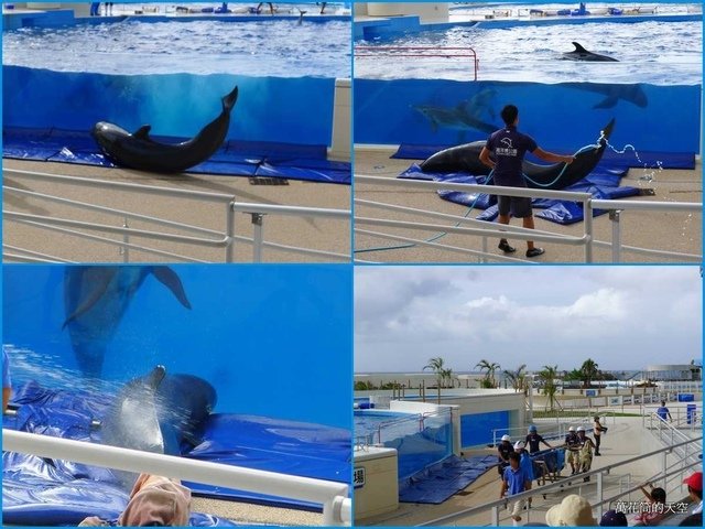 [沖繩]美麗海水族館(美ら海水族館，Okinawa Chur