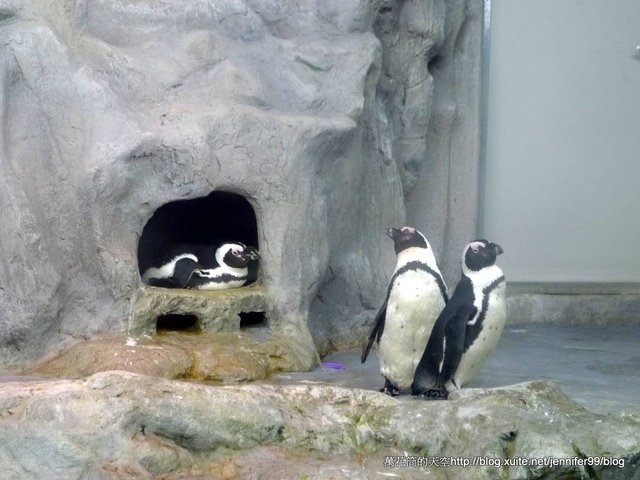 [韓國]2012麗水世博水族館