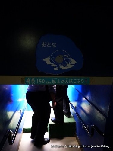 [日本]北海道旭川市旭山動物園(Asahiyama Zoo)