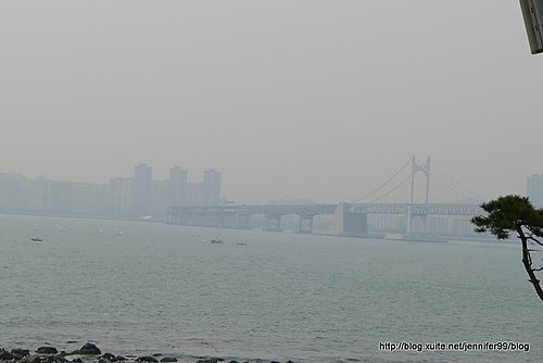 [韓國]釜山冬栢島&amp;世峰樓