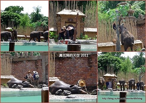 [峇里島]BALI SAFARI &amp; MARINE PARK