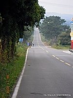 [韓國]濟州島神祕道路