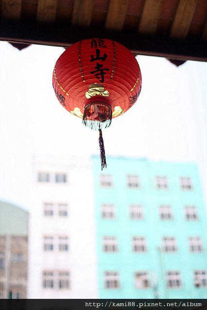 鹿港龍山寺 (5)