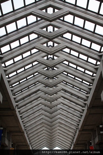IMG_0347.jpg