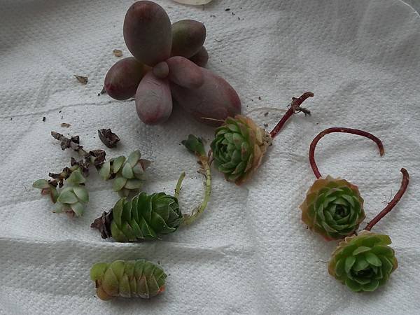 20120501 063