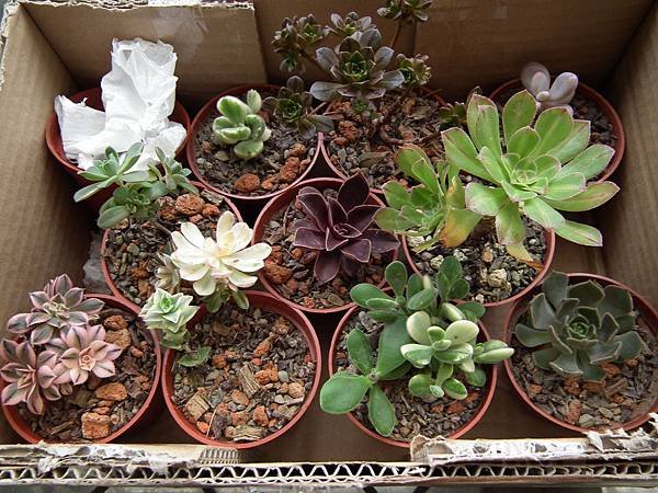 20120501 051