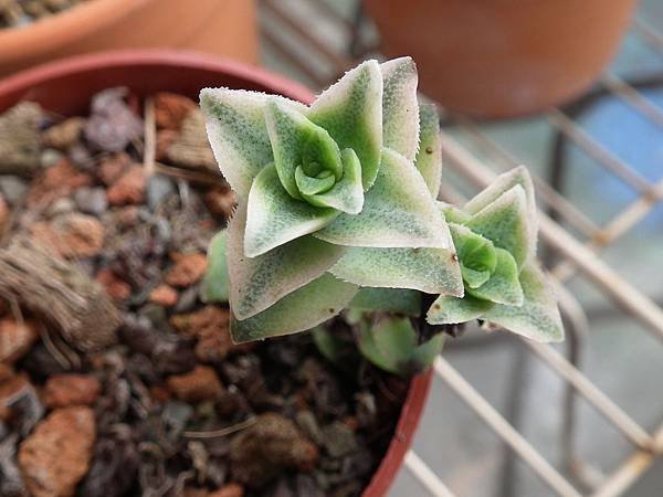 20120501 053