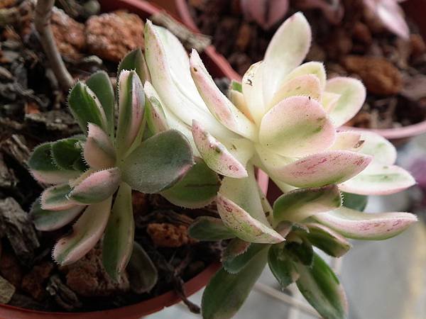 20120501 054