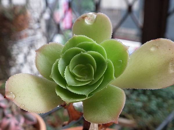 20120504 010