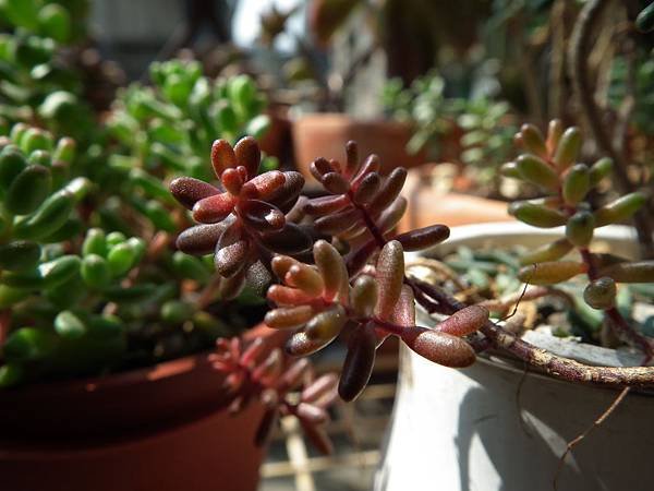 20130310 017