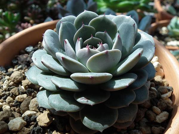 20130310 024