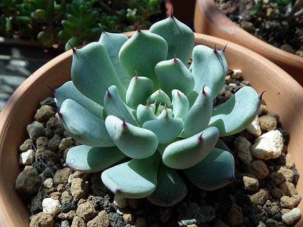 20130310 027