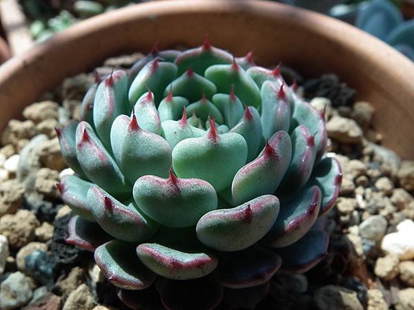 20130310 031