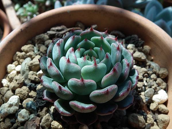 20130310 032