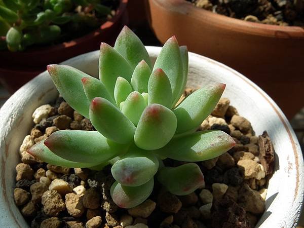 20130310 033