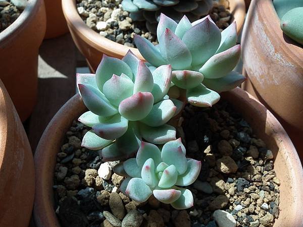 20130310 034