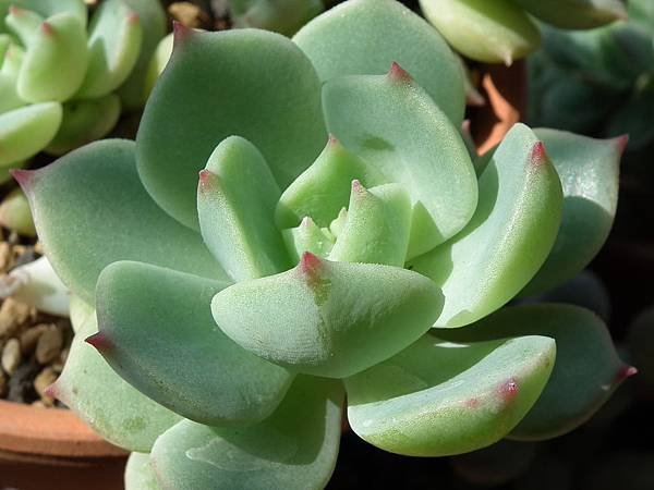 20130310 038