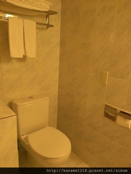 toilet