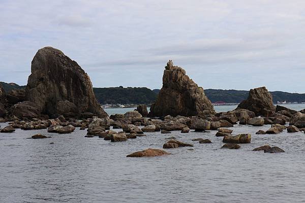 IMG_4516.JPG