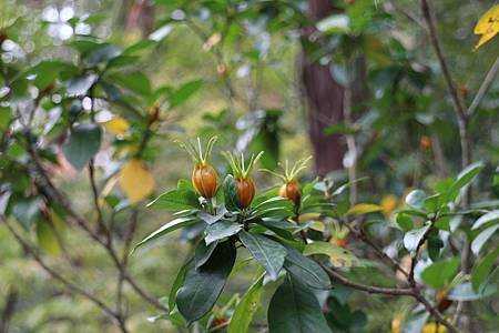 IMG_5059.JPG