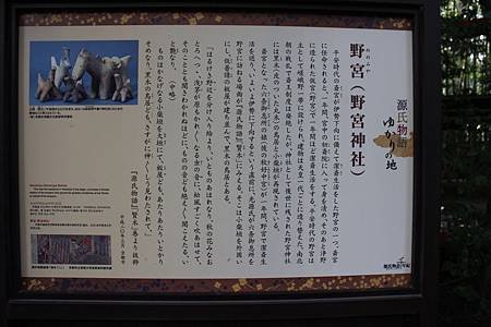 IMG_5076.JPG