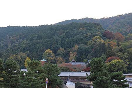 IMG_5132.JPG
