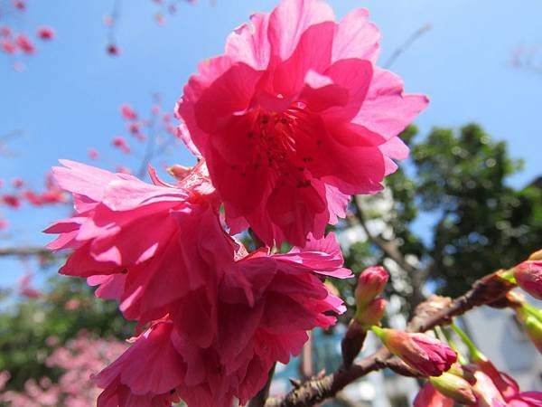 IMG_2290.JPG
