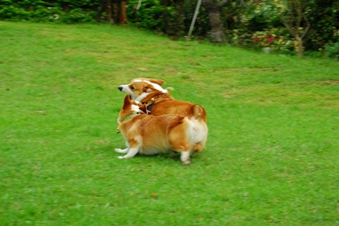 DSC_1749.JPG