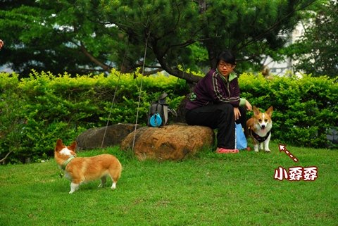 DSC_1790.JPG