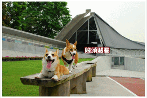 09043003.gif
