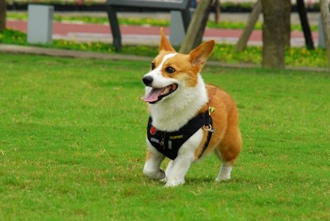 DSC_1893.JPG
