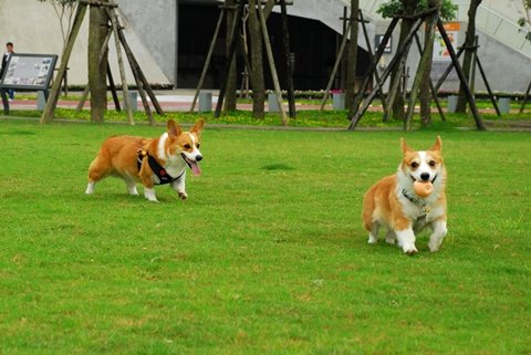 DSC_1894.JPG