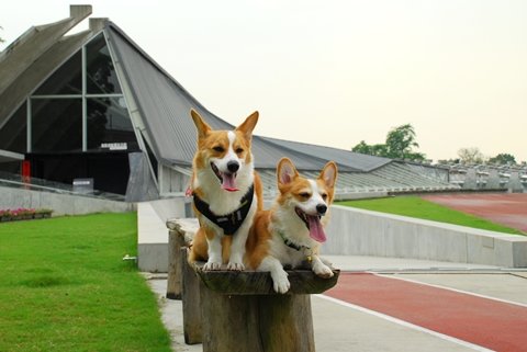 DSC_1972.JPG